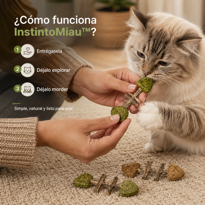 InstintoMiau™ – Barritas Naturales de Juego y Masticación