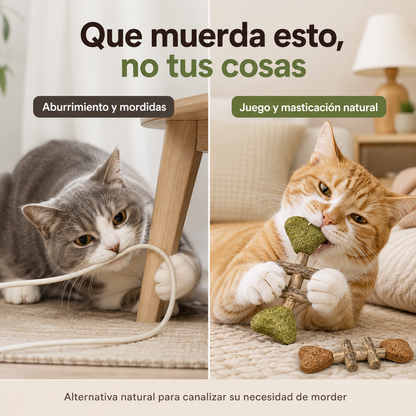InstintoMiau™ – Barritas Naturales de Juego y Masticación