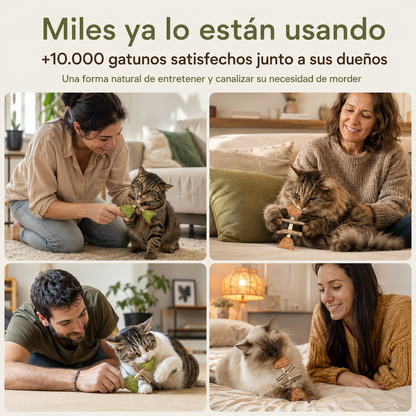 InstintoMiau™ – Barritas Naturales de Juego y Masticación